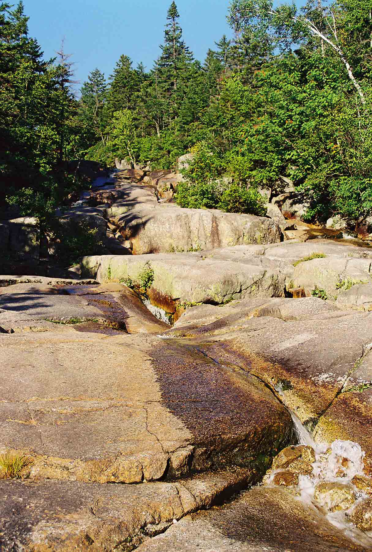Cascades along Whitewall Brook which is just a few feet from Zealand Hut. Courtesy dlcul@conncoll.edu