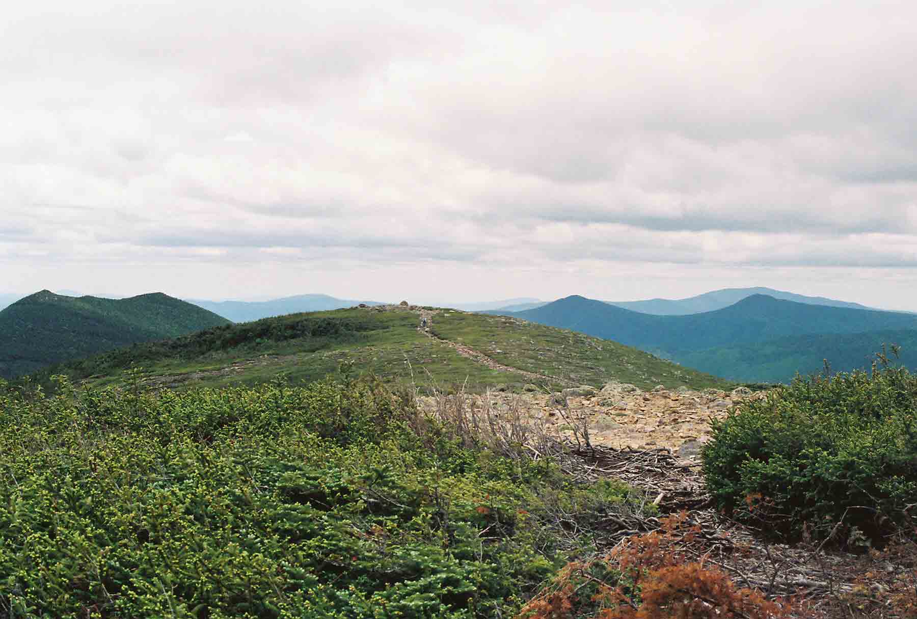 mm 11.9 - View south from near the summit of Mt. Guyot.  Courtesy dlcul@conncoll.edu
