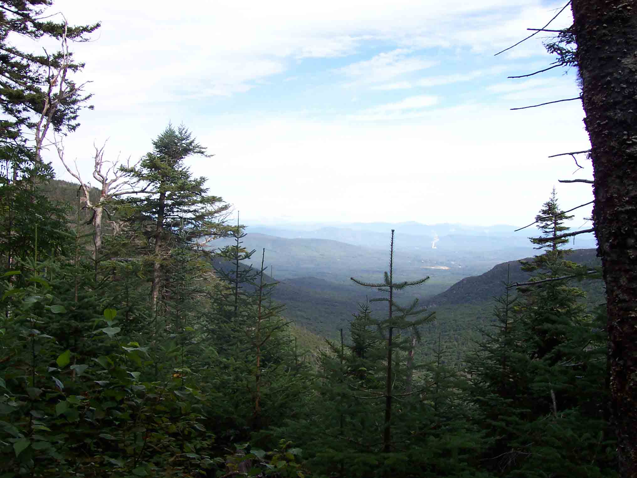 View north from Garfield Ridge Trail (part of AT). Taken from approx. Mile 15.1.  Courtesy dlcul@conncoll.edu