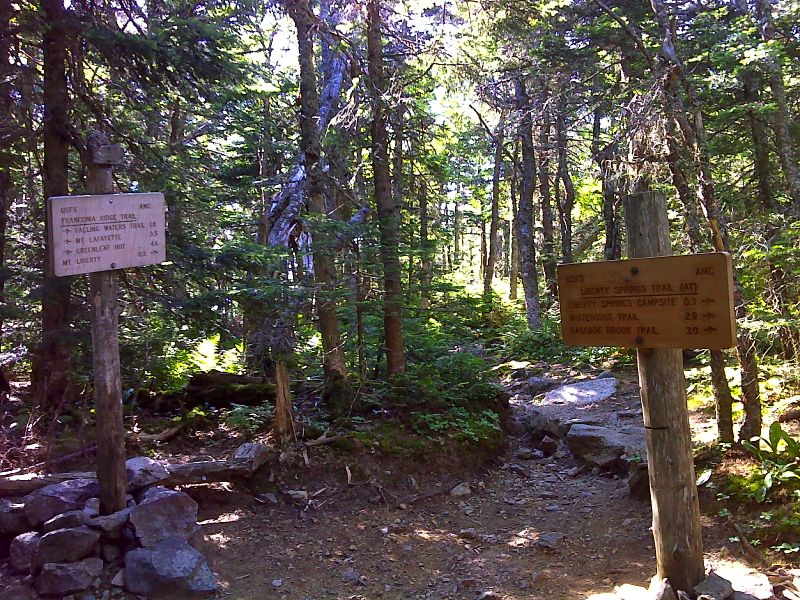 mm 24.8 At the crest of Franconia ridge, the northbound trail turns off the Liberty Spring Trail and follows the Franconia Ridge Trail towards Mt. Lafayette. GPS N44.1189 W71.6432  Courtesy pjwetzel@gmail.com