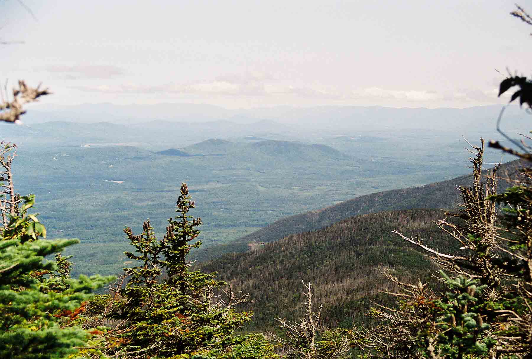 View W from Kinsman Ridge Trail (AT) on north side of North Kinsman Mt.  Courtesy dlcul@conncoll.edu