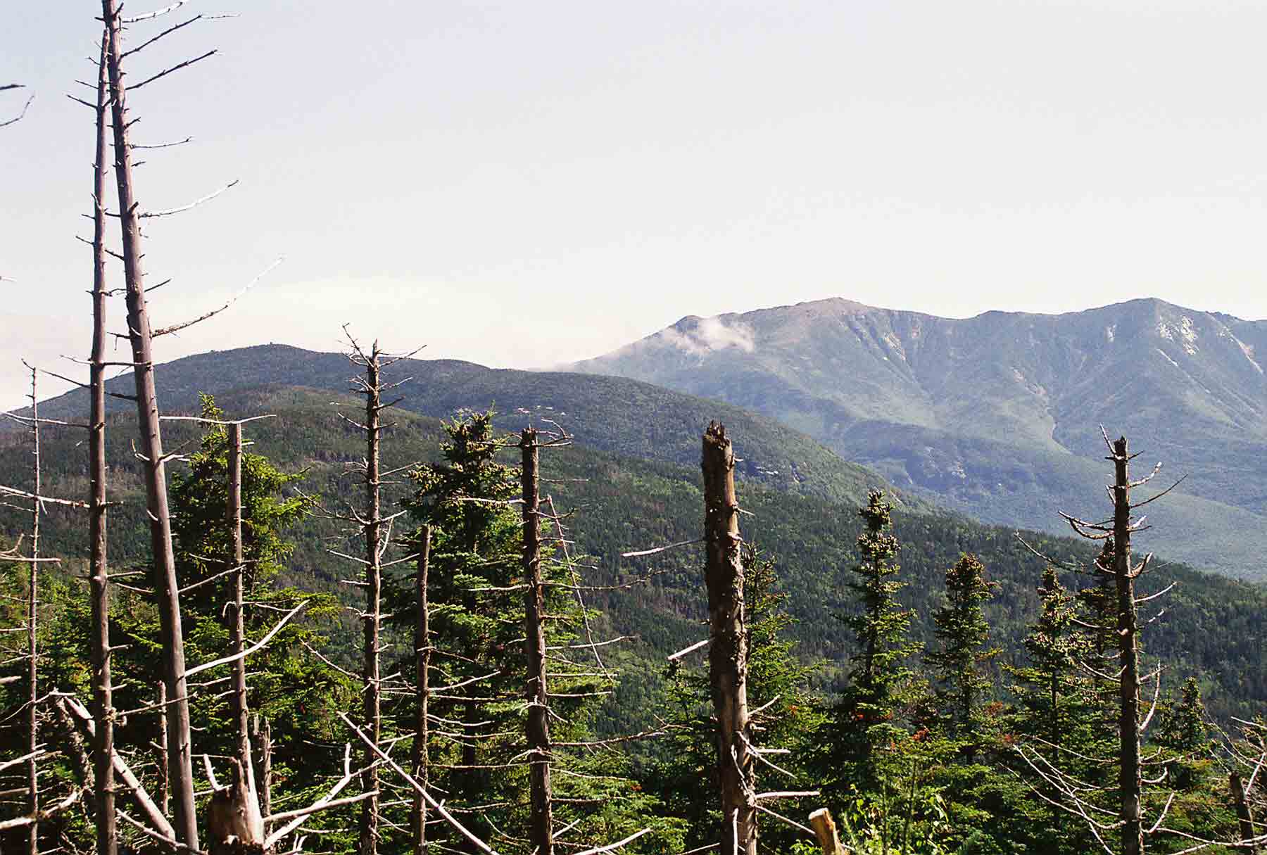 Franconia Ridge and Cannon Mt. from Fishing Jimmy Trail (part of AT) Large peak on left is Mt. Lafayette. Cannon Mt. is the nearer peak on left side of picture. Courtesy dlcul@conncoll.edu