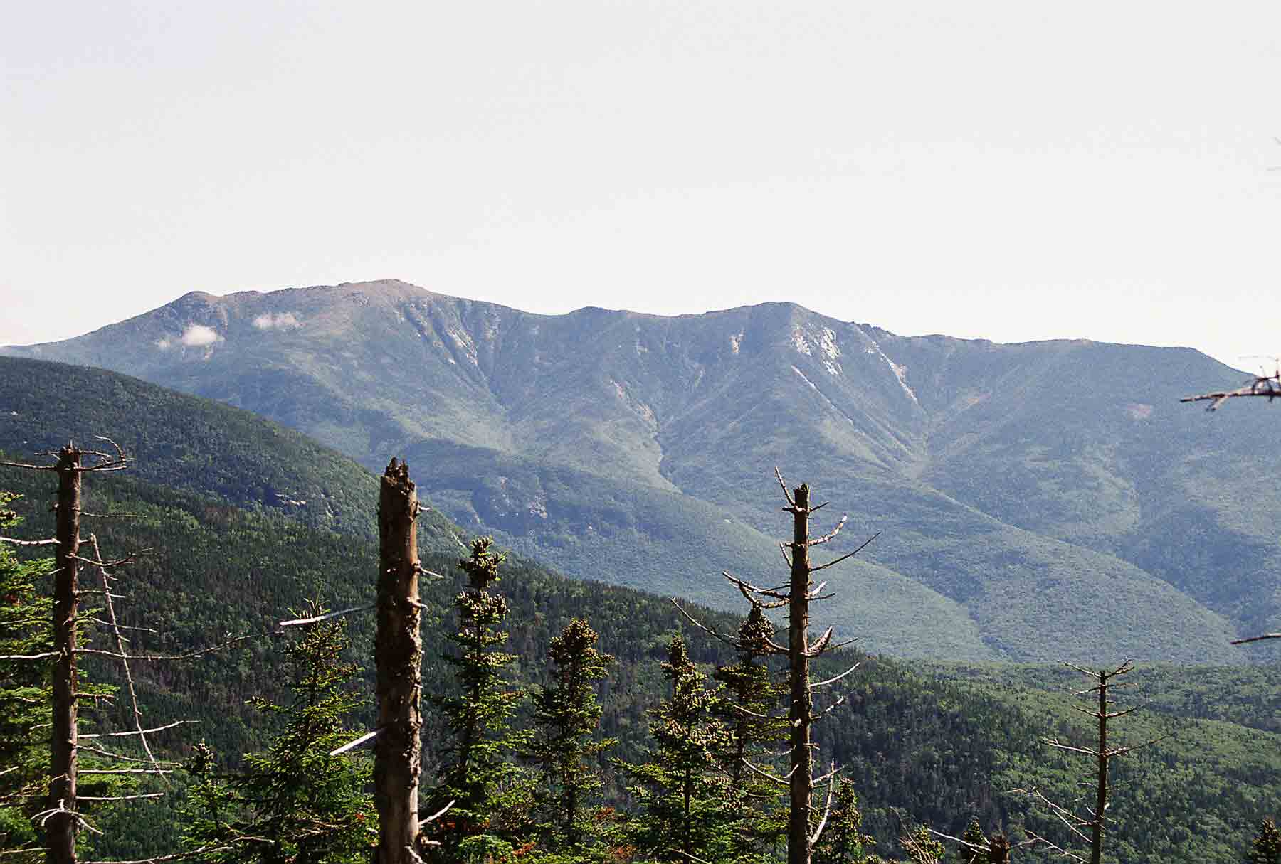 Franconia Ridge from Fishing Jimmy Trail (part of AT). Large peak on left is Mt. Lafayette.  Courtesy dlcul@conncoll.edu