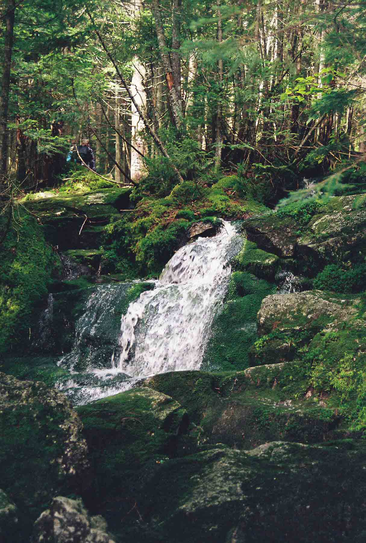 Small waterfall along Fishing Jimmy Trail (AT) west or trail south of Lonsesome Lake Hut. Taken at approx. Mile 3.9.   Courtesy dlcul@conncoll.edu