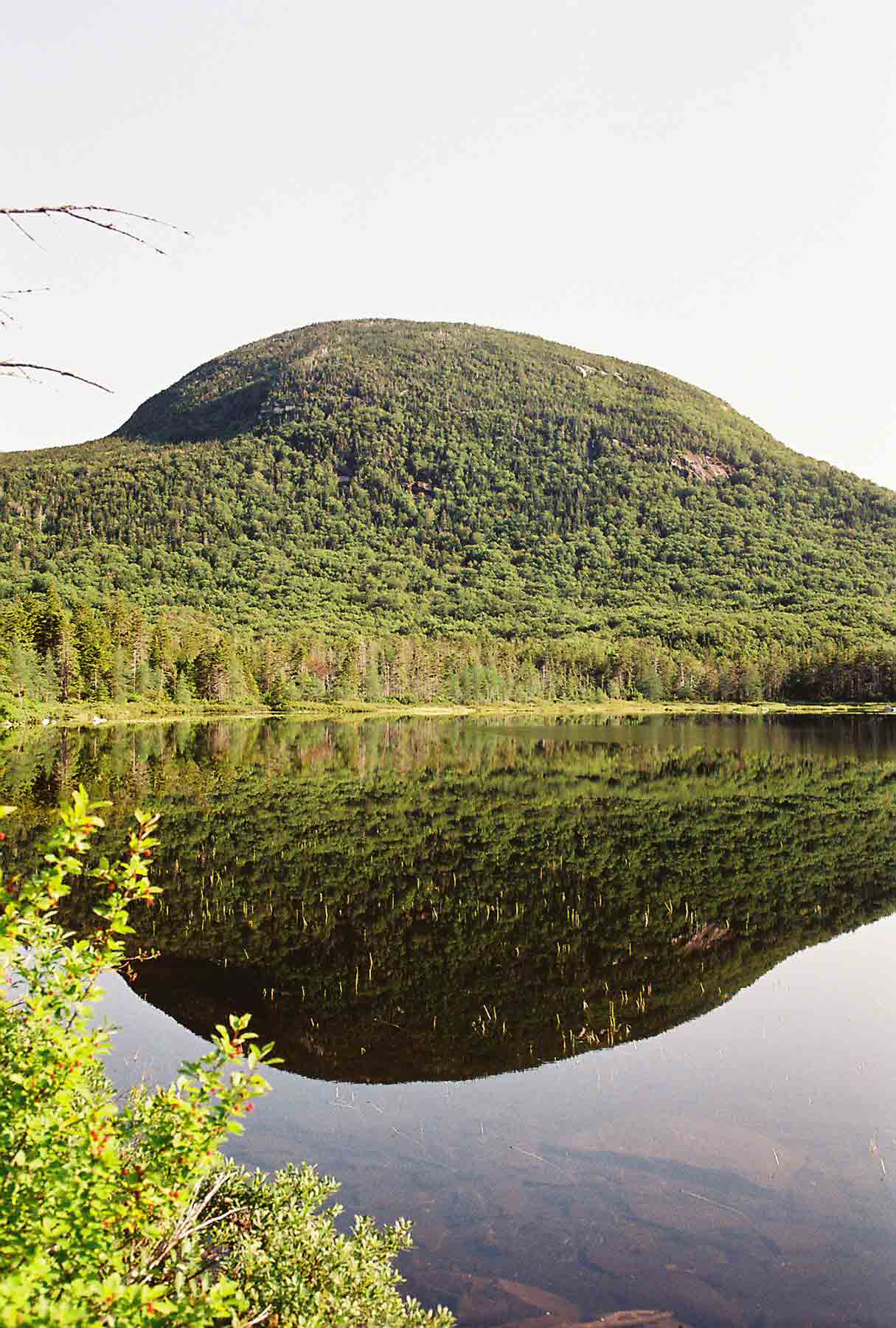 View  to the north across Lonesome Lake on a clear still morning.   Courtesy dlcul@conncoll.edu