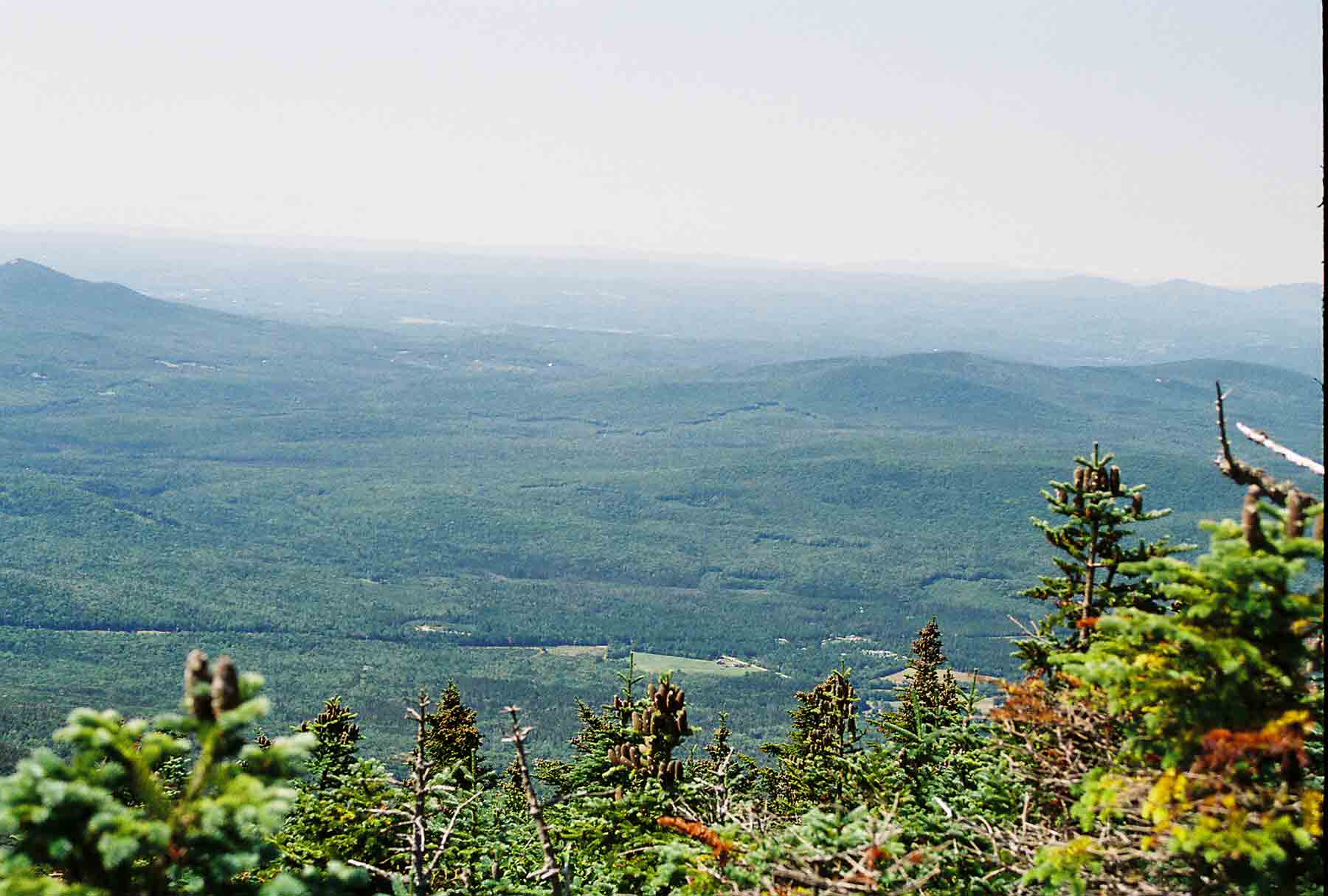 View to the west from the col between North and South Kinsman. Taken at approx. Mile 5.8.  Courtesy dlcul@conncoll.edu