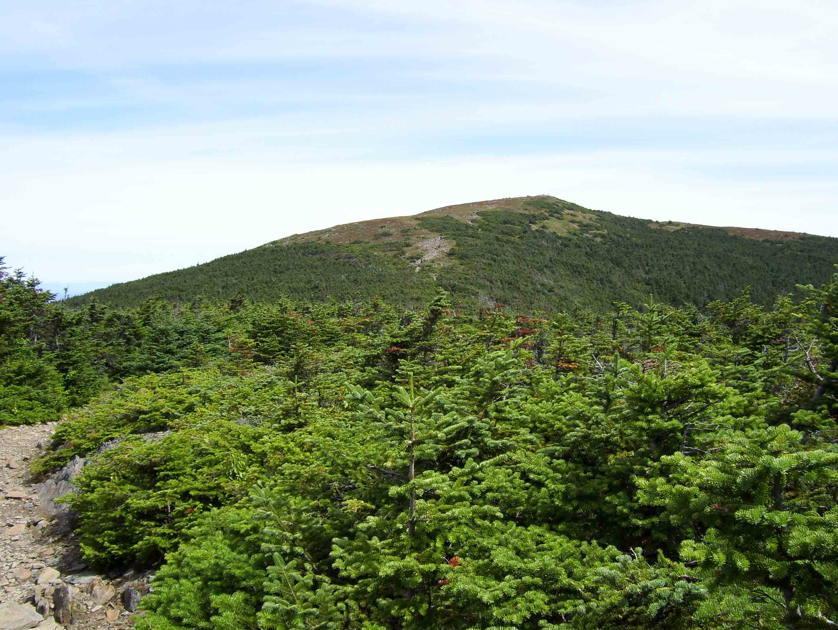 View to the north along the Moosilauke ridge back to the summit. Taken from approx. Mile 4.2.  Courtesy dlcul@conncoll.edu