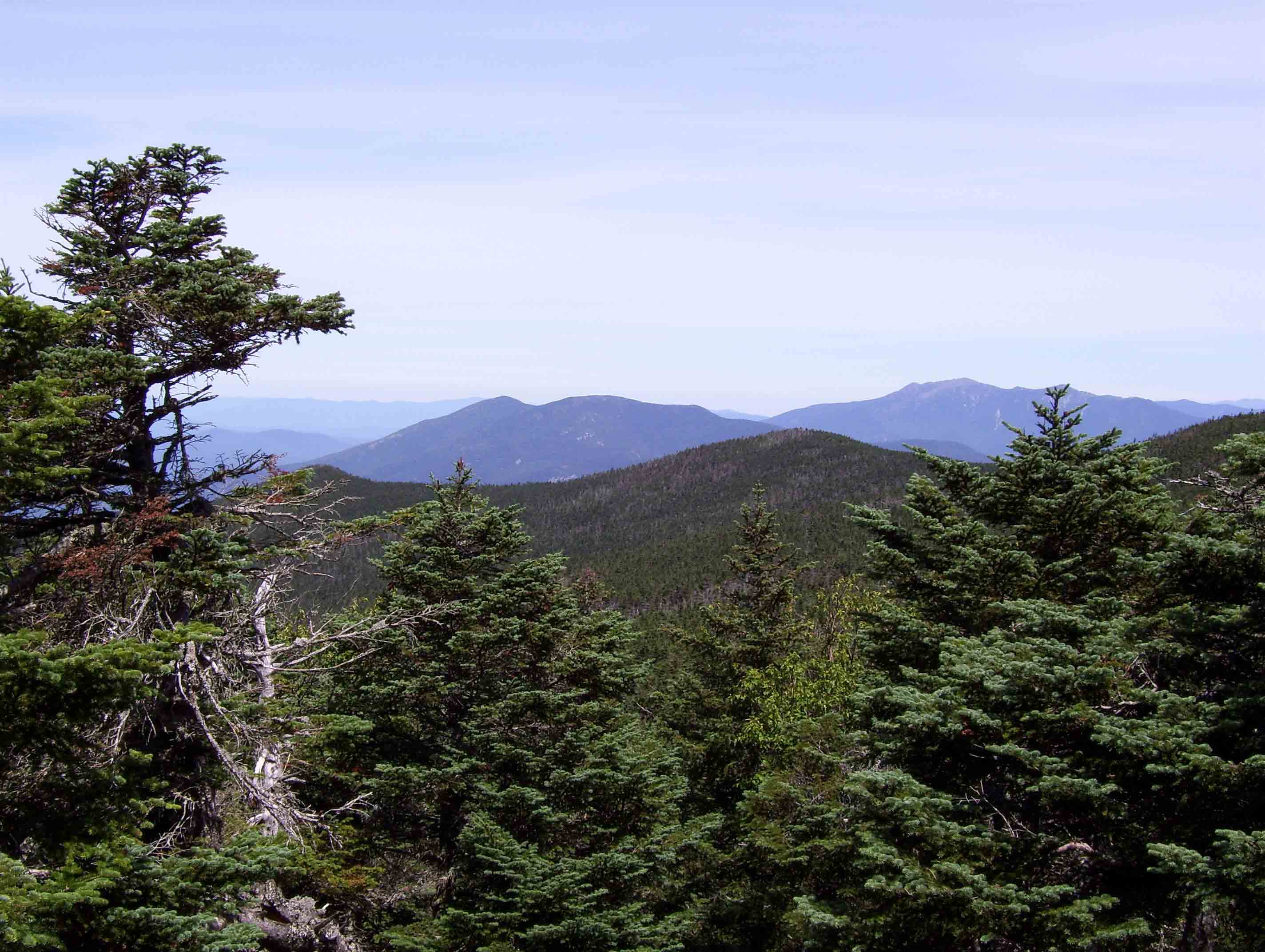 View to the northeast from the Beaverbrook Trail portion of the AT. The mountains in the middle distance are North and South Kinsman. The farther ones are on the Franconia Range with Mt. Lafayette being the highest point. The AT goes over both the Kinsmans and the Franconia Ridge. Taken from approx. Mile 3.2.  Courtesy dlcul@conncoll.edu