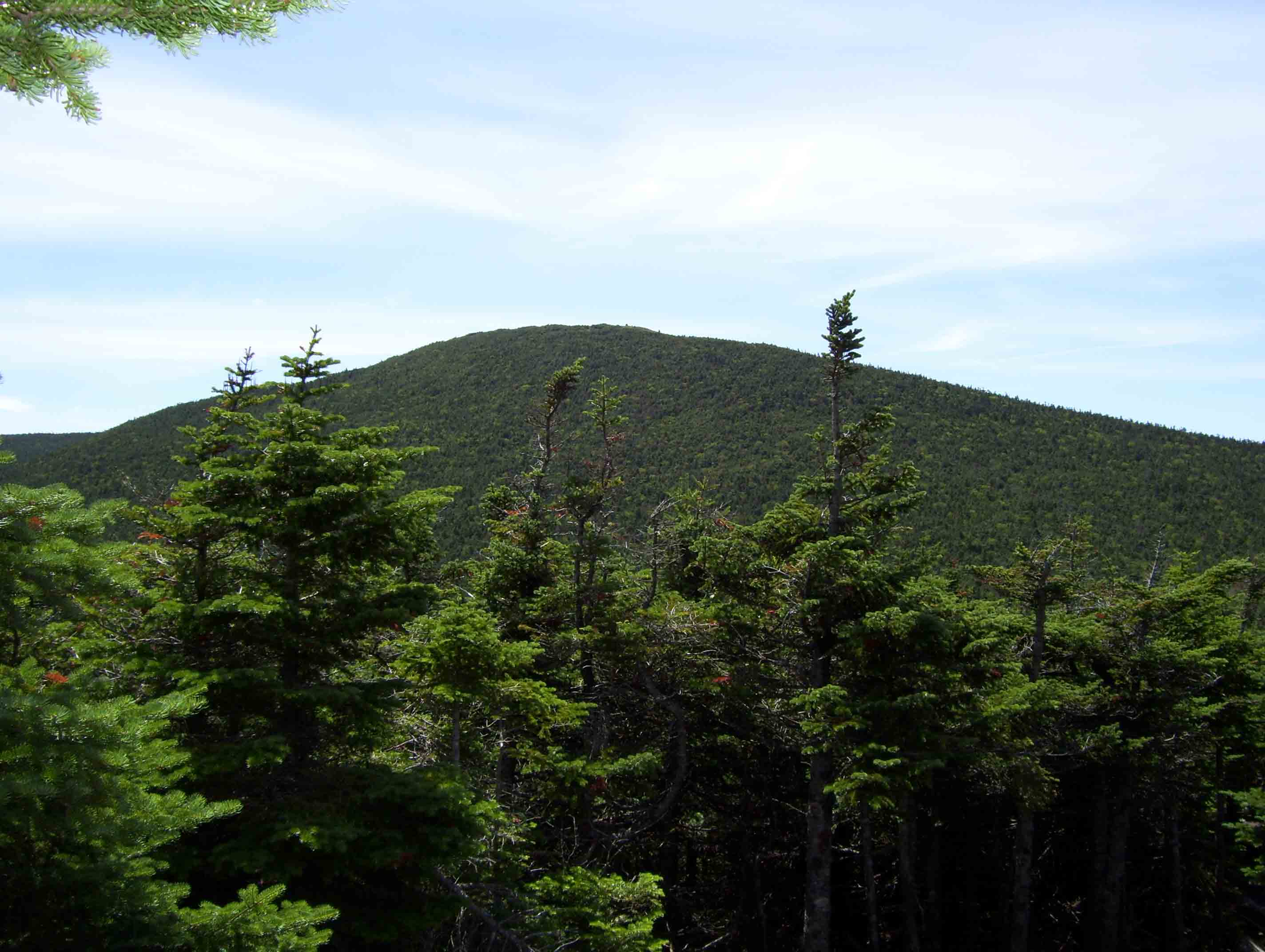 The summit of Mt. Moosilauke as seen from near Mt. Blue on the Beaverbrook Trail section of the AT. Taken from approx. Mile 2.8.  Courtesy dlcul@conncoll.edu