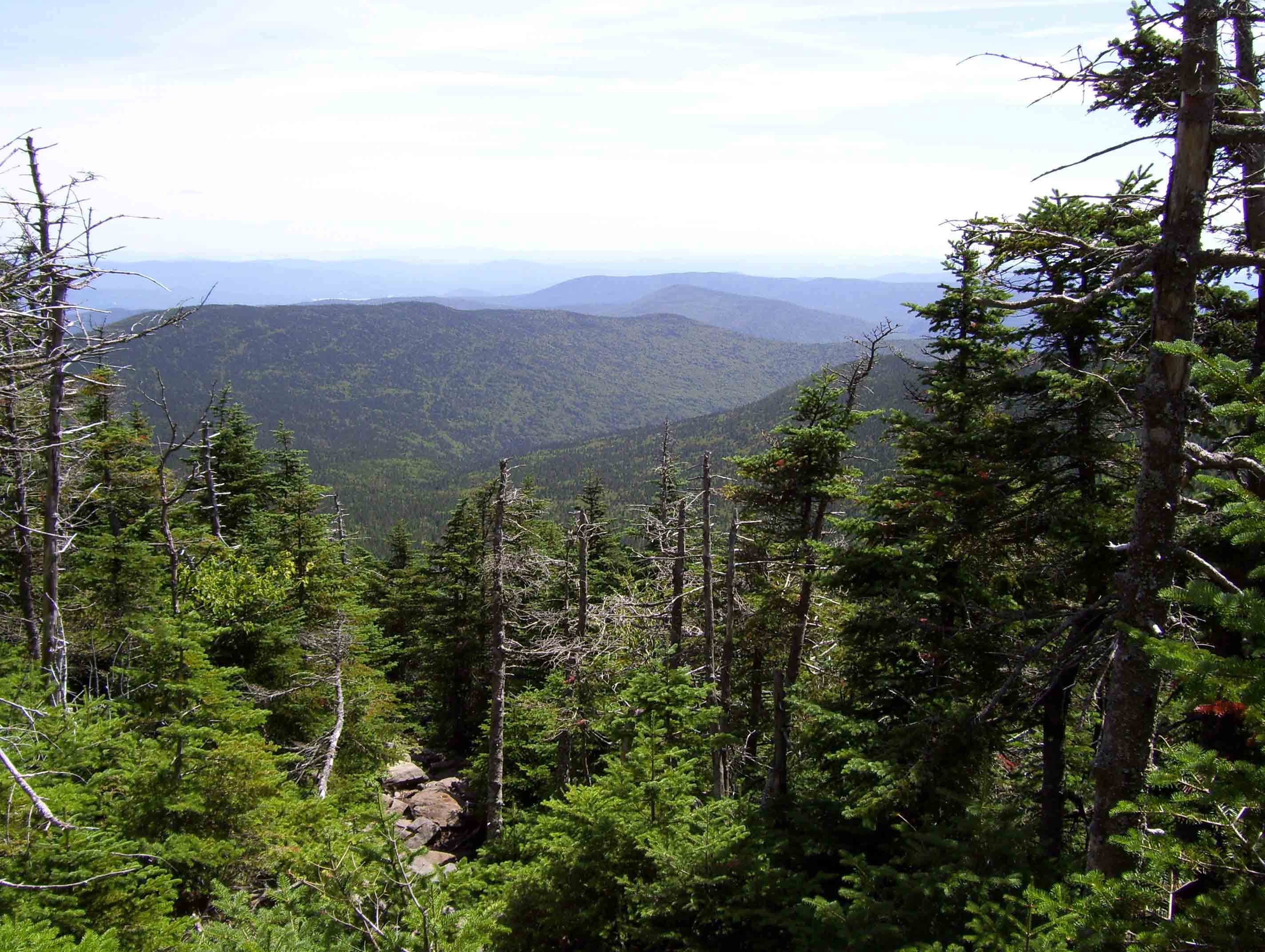 View to the east as the southbound AT climbs a steep rocky stretch to reach a point near the summit of Mt. Blue, a subsidiary peak on Mt. Moosilauke. Taken from approx. Mile 2.6.  Courtesy dlcul@conncoll.edu