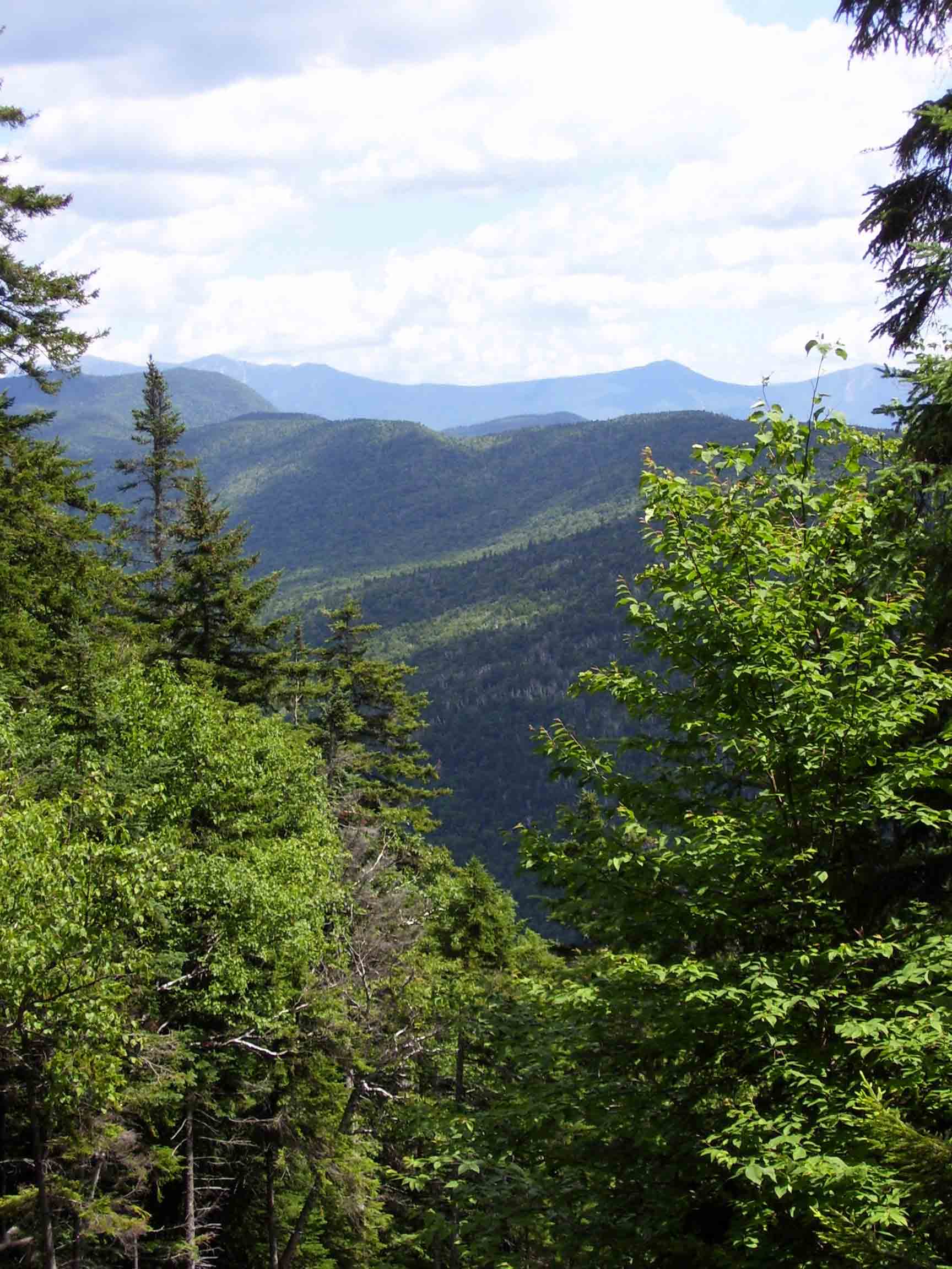 View to the east from the Beaverbrook Trail (part of AT). The closer ridge is Kinsman Ridge, the further is the Franconia Ridge.  Courtesy dlcul@conncoll.edu