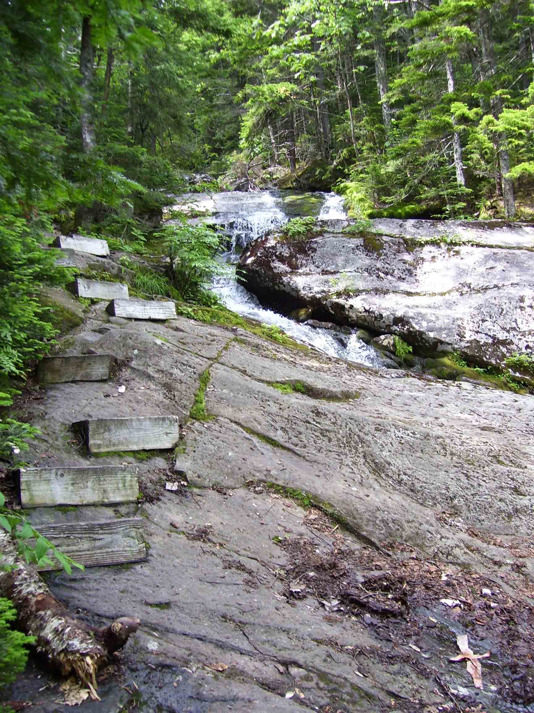 There are many of these wooden steps bolted into the rock along the trail. This is probably one of the less steep portions where they are found. In places there are is also rebar to use for handholds.   Courtesy dlcul@conncoll.edu