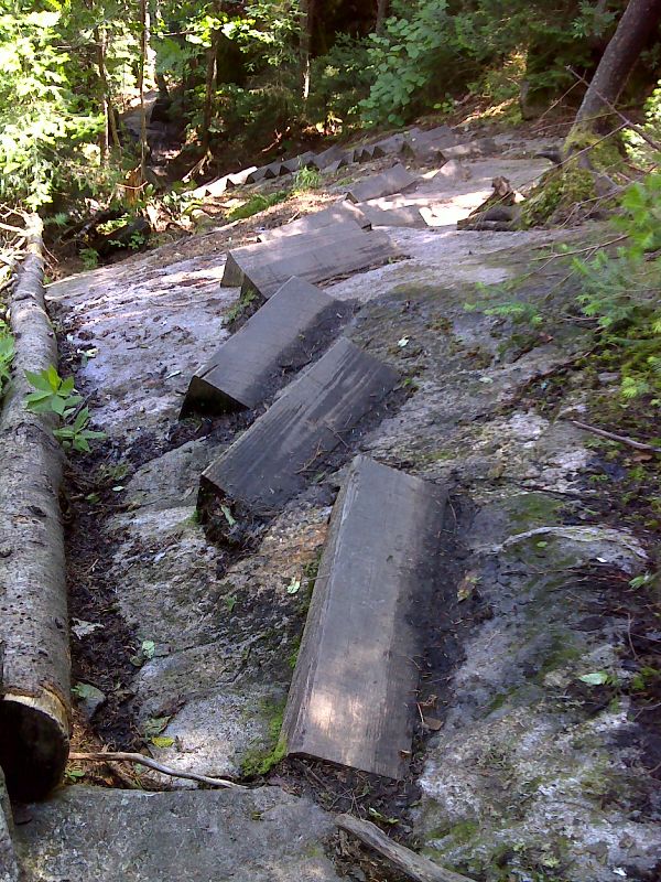 Wood wedge steps on bedrock.  GPS N44.0363 W71.8049  Courtesy pjwetzel@gmail.com