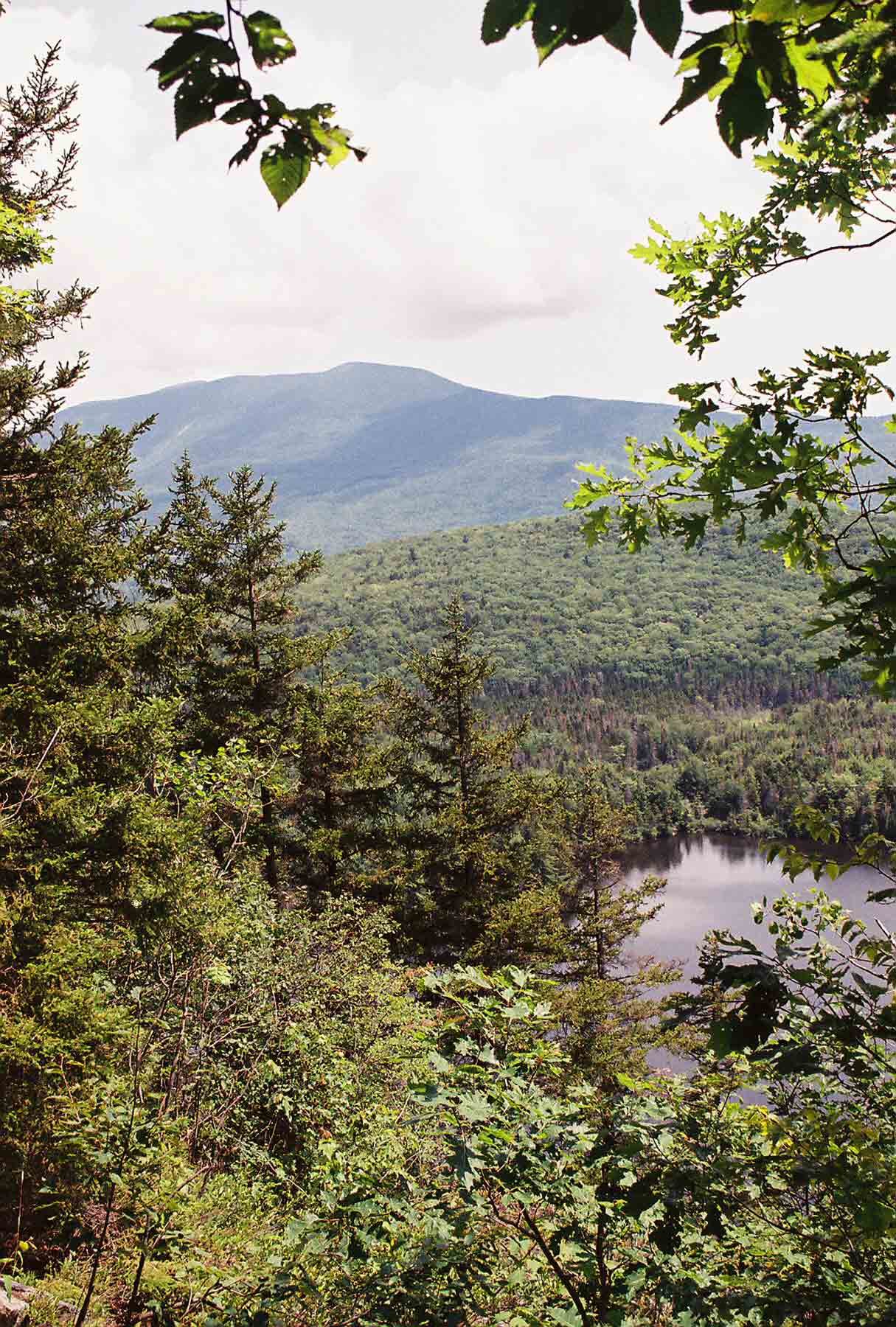 View of Wachipauka Pond and Mt. Moosilauke from view point on north side of Mt. Mist. Taken at  approx. Mile 2.4.  Courtesy dlcul@conncoll.edu