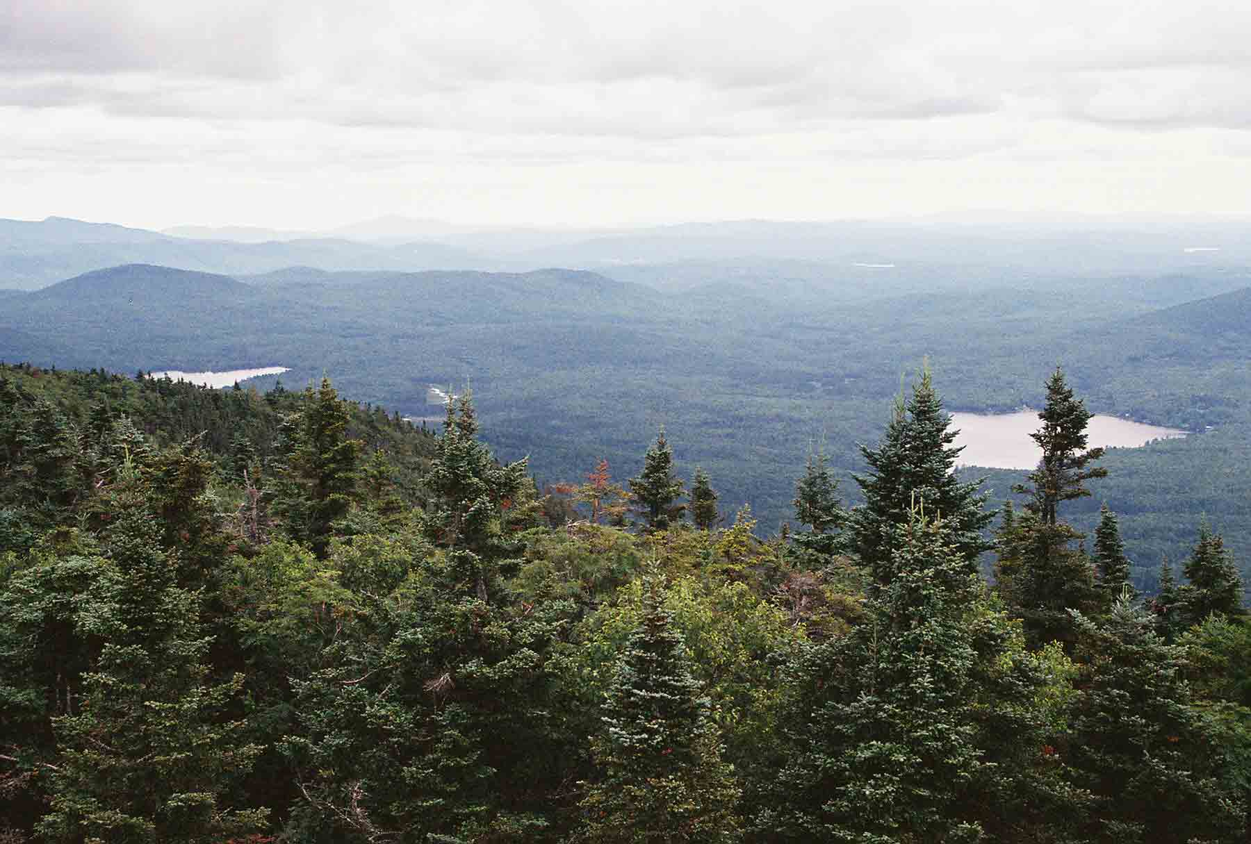 mm 10.2 - View E. from Smart's Mt. firetower.  Courtesy dlcul@conncoll.edu