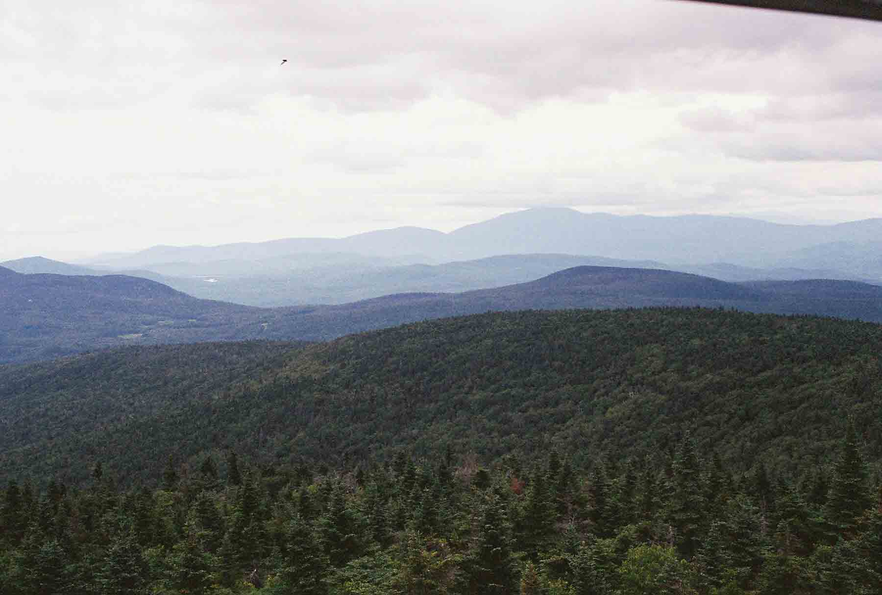 mm 10.2 View Northeast from Smart's Mt. Firetower. The large mountain in distance is Mt. Moosilauke which the AT climbs.  Courtesy dlcul@conncoll.edu