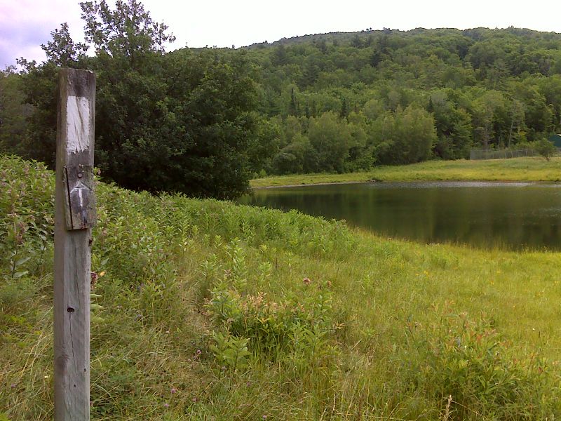 mm 16.0 Pond near Dartmouth Skiway. GPS 43.7922 W72.1012  Courtesy pjwetzel@gmail.com