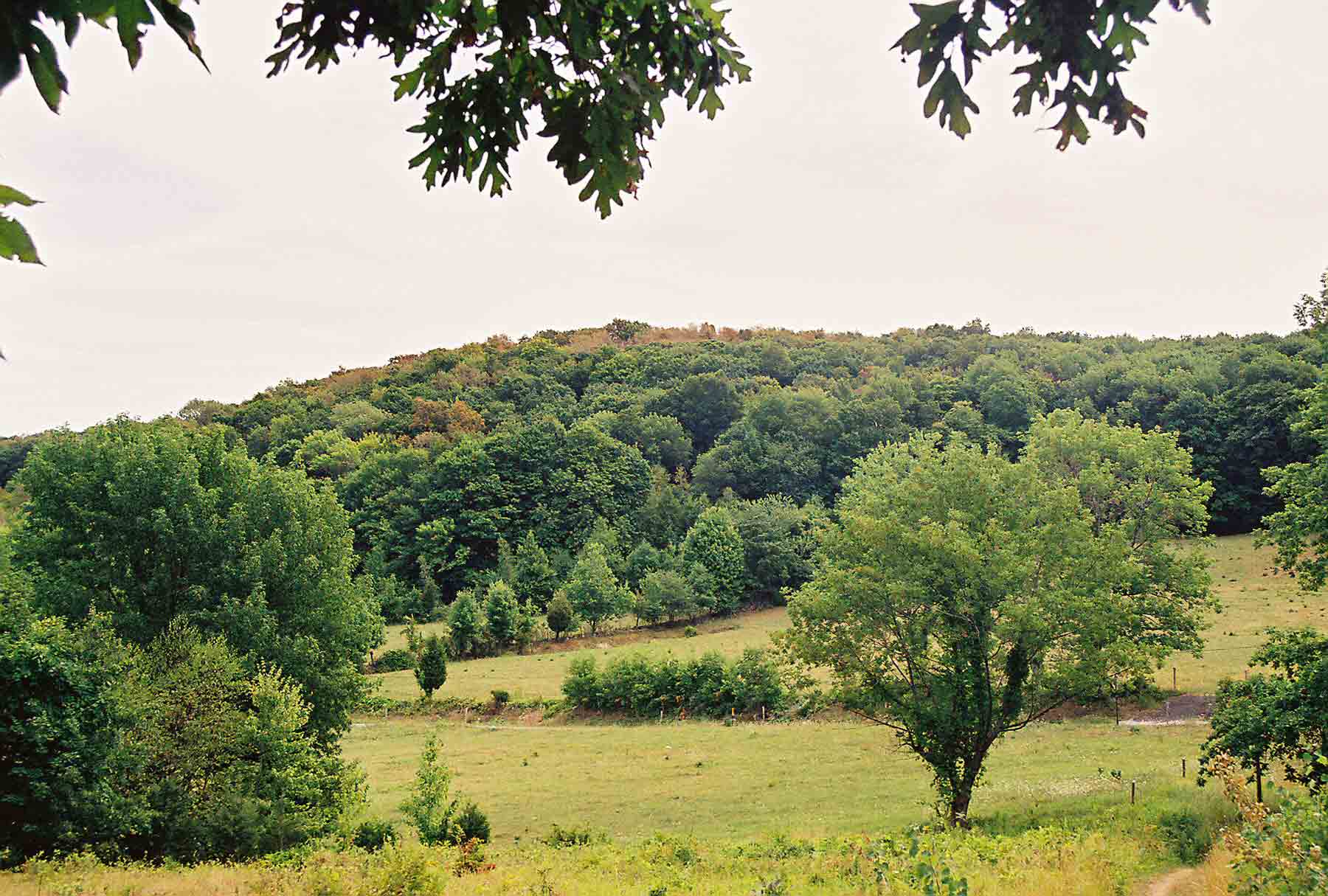 View from near NJ 94 east to the western escarpment of Wawayanda Mountain. The ledge that makes up Pinwheel's Vista can be seen at the left side of the ridge. Taken at approximately  MM 9.0.  Courtesy dlcul@conncoll.edu