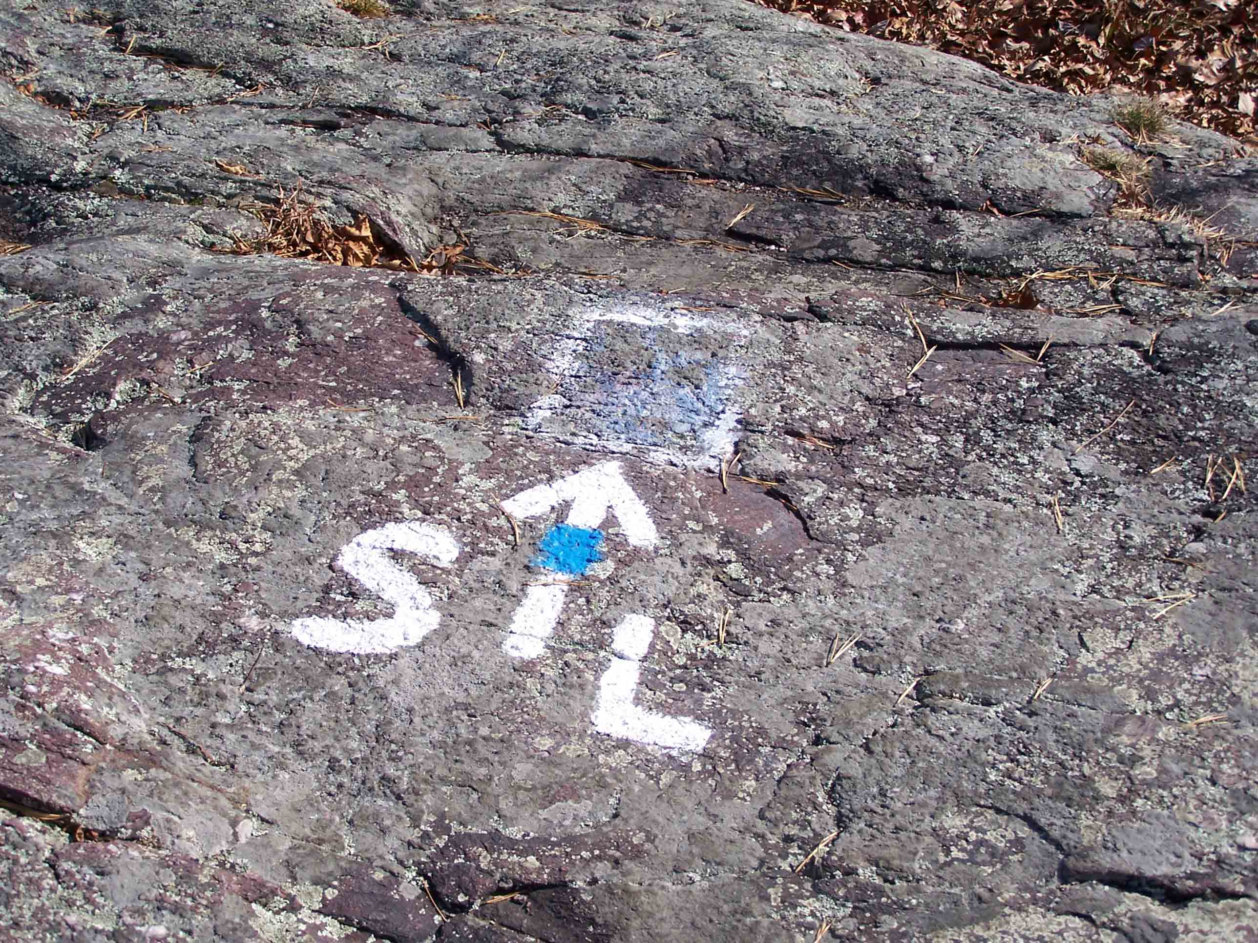 mm 0.0 - Blue blazed State Line Trail. Courtesy at@rohland.org