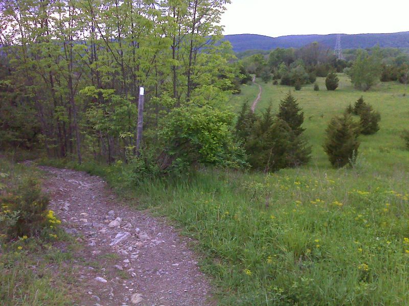 Field walk at the base of Wawayanda Mountain. View is to the west (trail south). GPS N41.2173 W74.4505  Courtesy pjwetzel@gmail.com
