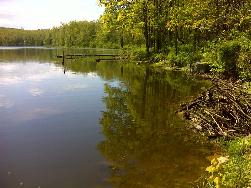 Small Lake beside trail.  GPS N41.2030 W 74.4089  Courtesy pjwetzel@gmail.com