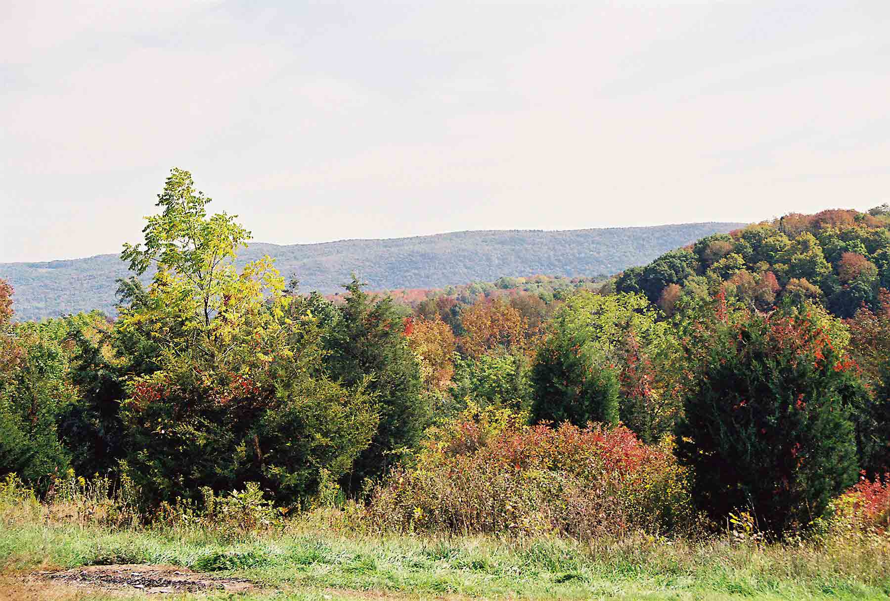 mm 5.0 - View south from AT on Pochuk Mountain.  Courtesy dlcul@conncoll.edu