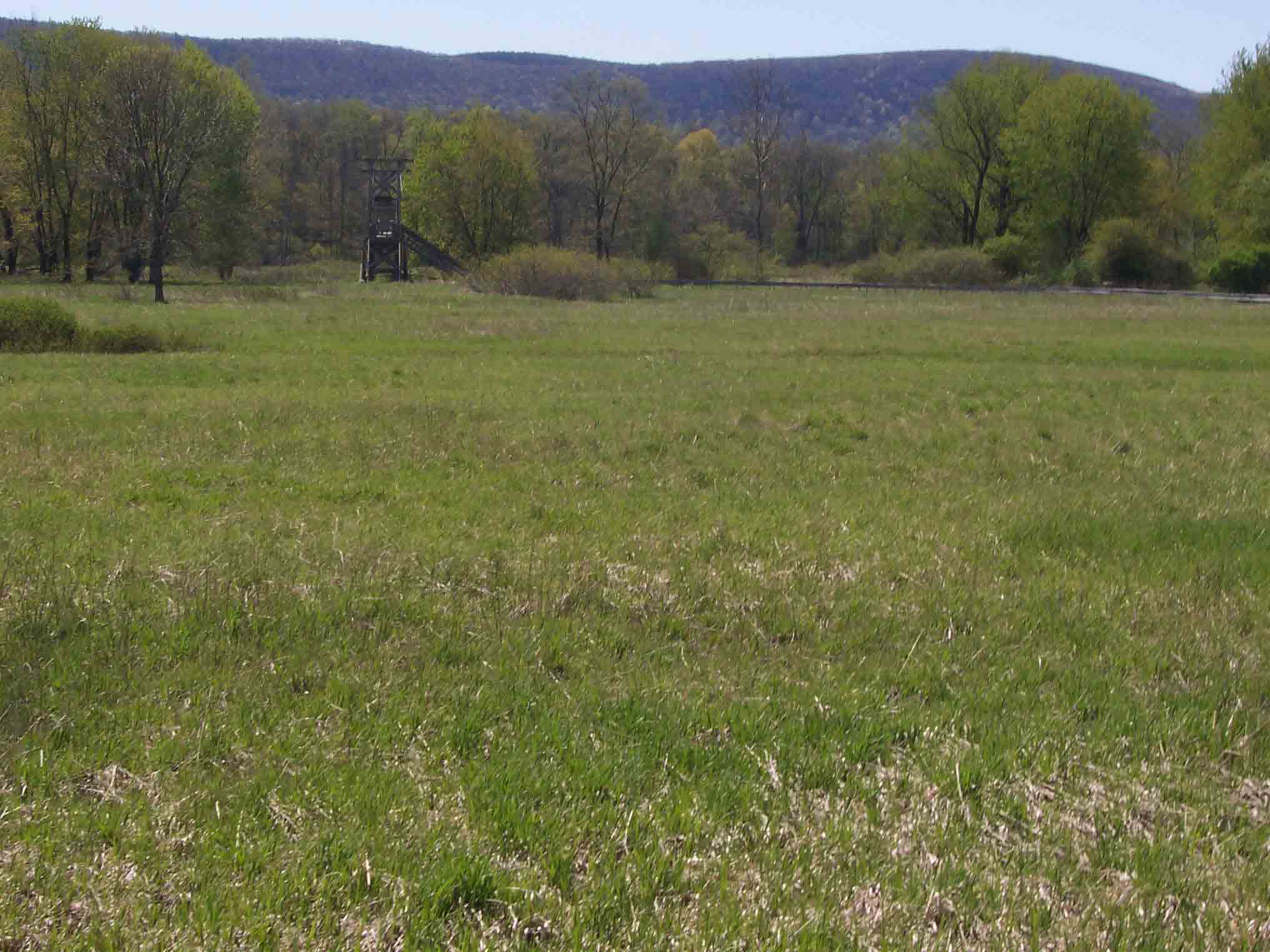 View east (trail north) across Pochuk Swamp to Wawayanda Mountain. Taken at approx. mm 1.8.  Courtesy dlcul@conncoll.edu