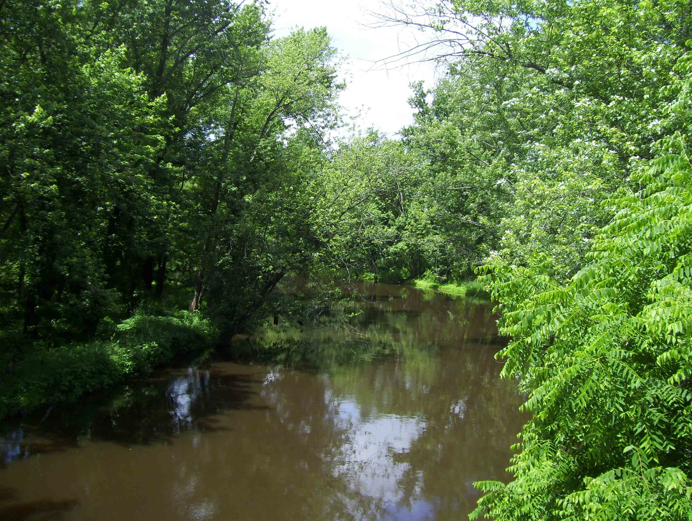 mm 9.3  Walkill River from Oil City Road bridge.  Courtesy dlcul@conncoll.edu