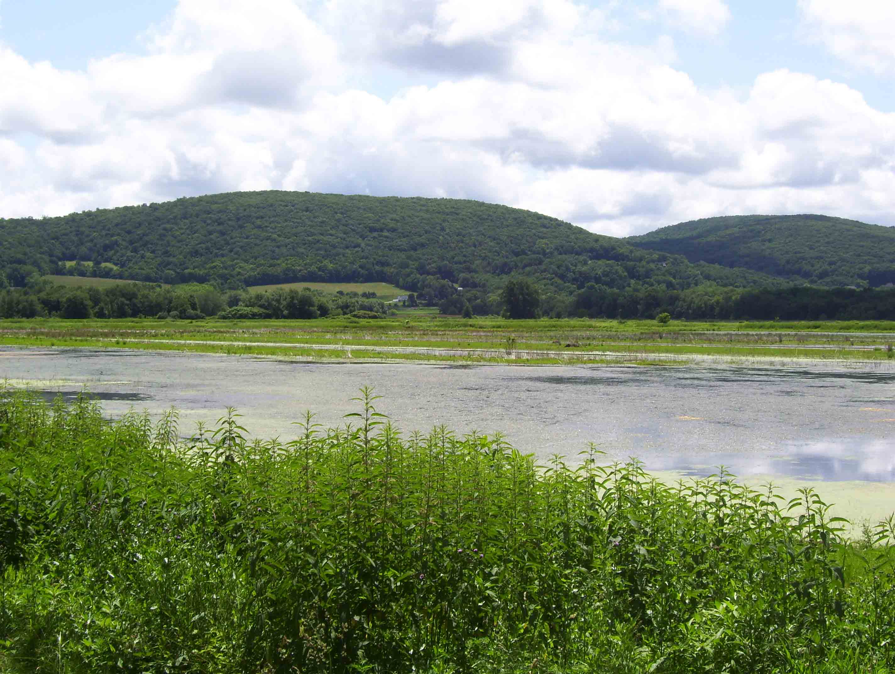 mm 9.0  View of Pochuck  Mountains and Liberty Marsh, part of the Walkill River National Wildlife Refuge,  from the point where the northbound Trail leaves Oil City Road. This point is actually in New York. The AT briefly enters that state in this area. This is the only place on the entire AT where the trail goes through a National Wildlife Refuge.  Courtesy dlcul@conncoll.edu