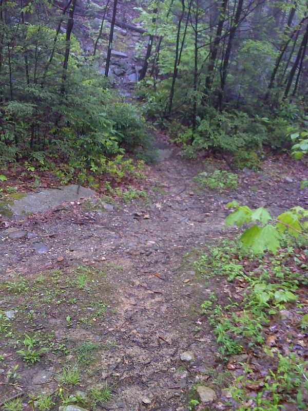 AT crosses woods road.  This road is gated at Glenwood Mountain Road.  GPS N41.2598 W74.5083  Courtesy pjwetzel@gmail.com