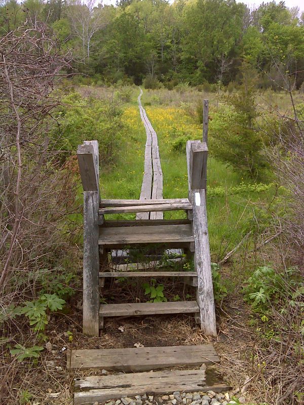 mm 0.2 Stile and puncheon west (trail south) of railroad crossing.   GPS N41.2207 W74.4580  Courtesy pjwetzel@gmail.com