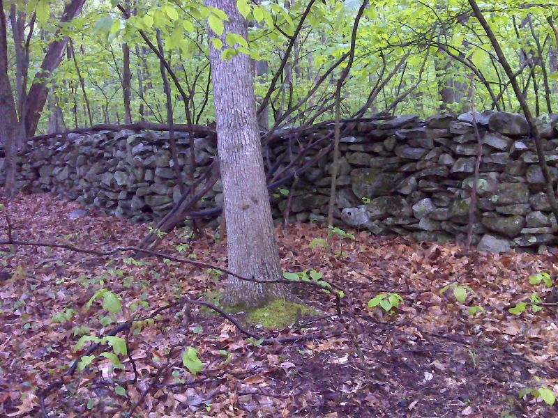  Example of one of the many stone fences the AT passes. GPS  N41.3276 W 76.6379  Courtesy pjwetzel@gmail.com