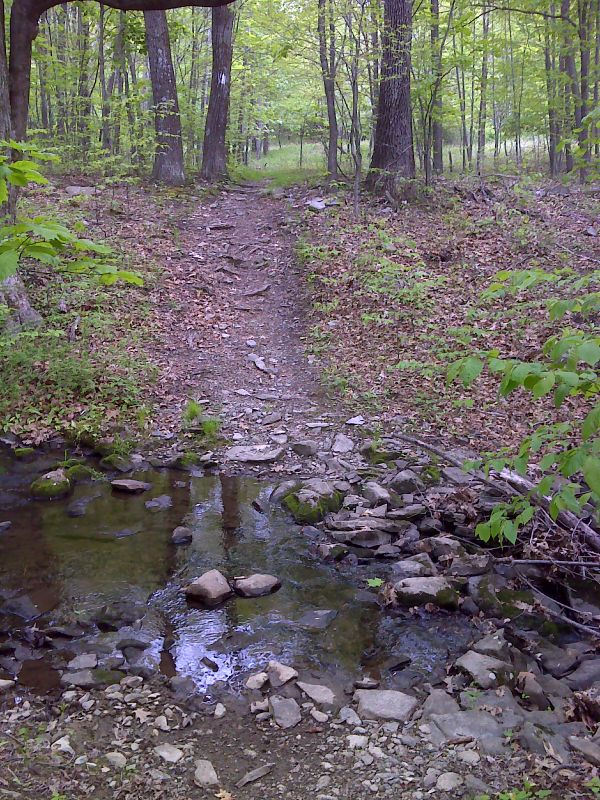 First Stream Crossing north of  County Road 519. Taken at approx. mm 6.1.n GPS  N41.3265 W 76.6344  Courtesy pjwetzel@gmail.com