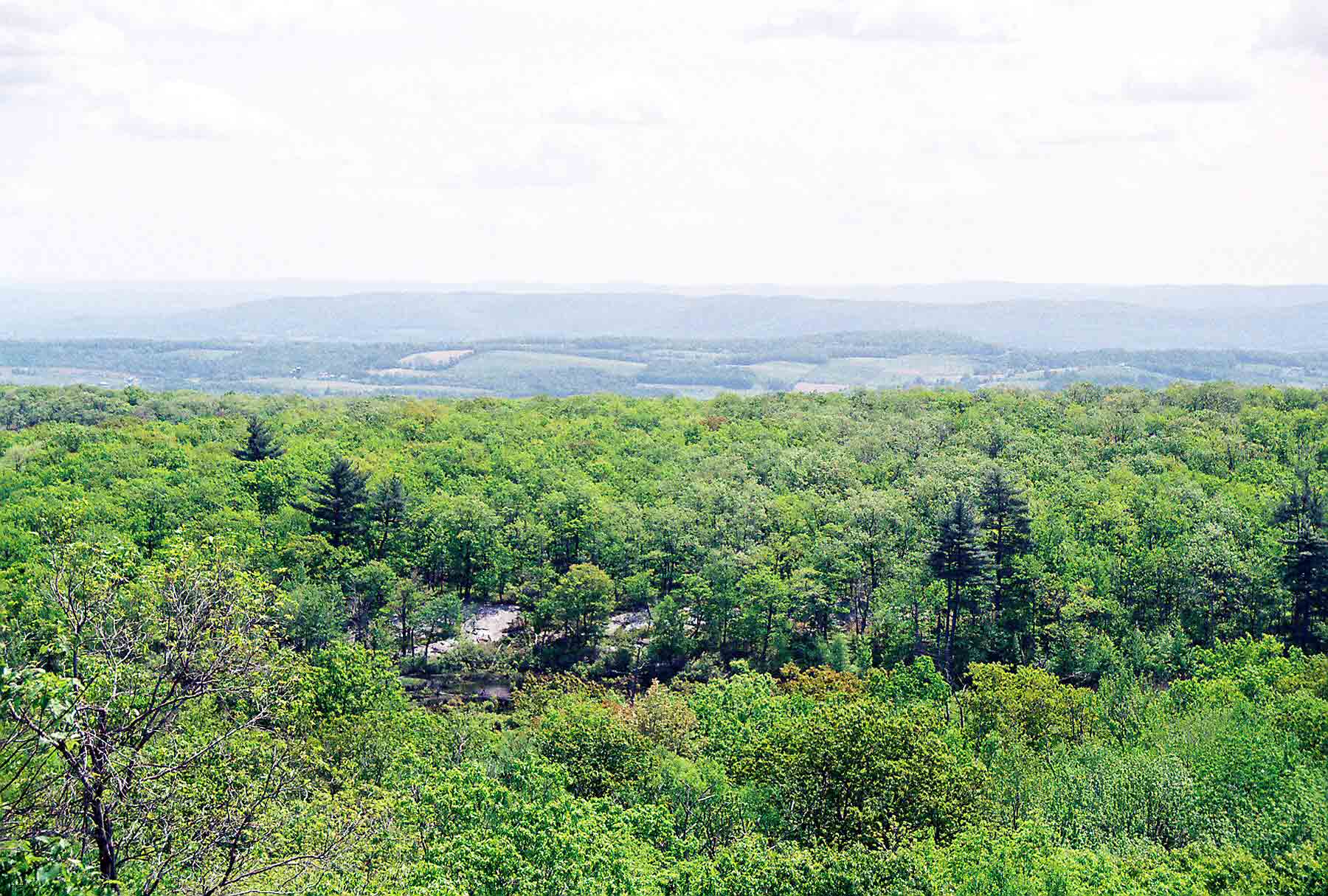 mm 1.4 - Looking east from the AT south of NJ 23 in High Point State Park. Two ranges of mountains can be seen in the distance, the nearer is Pochuk Mountain, the further is Wayanda Mt. The AT crosses both of these. Courtesy dlcul@conncoll.edu