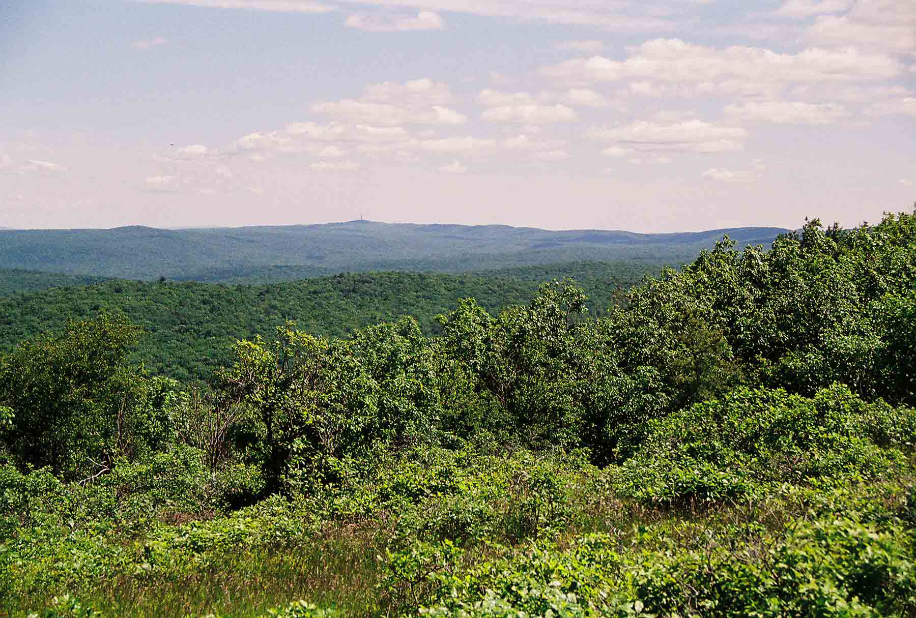 mm 5.0 - View N along ridge from Bird Mt. which is north of Rattlesnake Mt. The tower on top of HIgh Point (highest point in NJ) can be seen in distance (center of picture). Courtesy dlcul@conncoll.edu