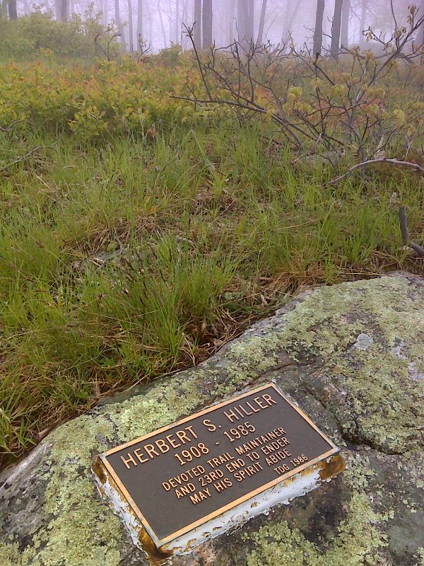 mm 6.0 Hiller plaque on Raccoon Ridge.   GPS N41.0156 W75.0415  Courtesy pjwetzel@gmail.com