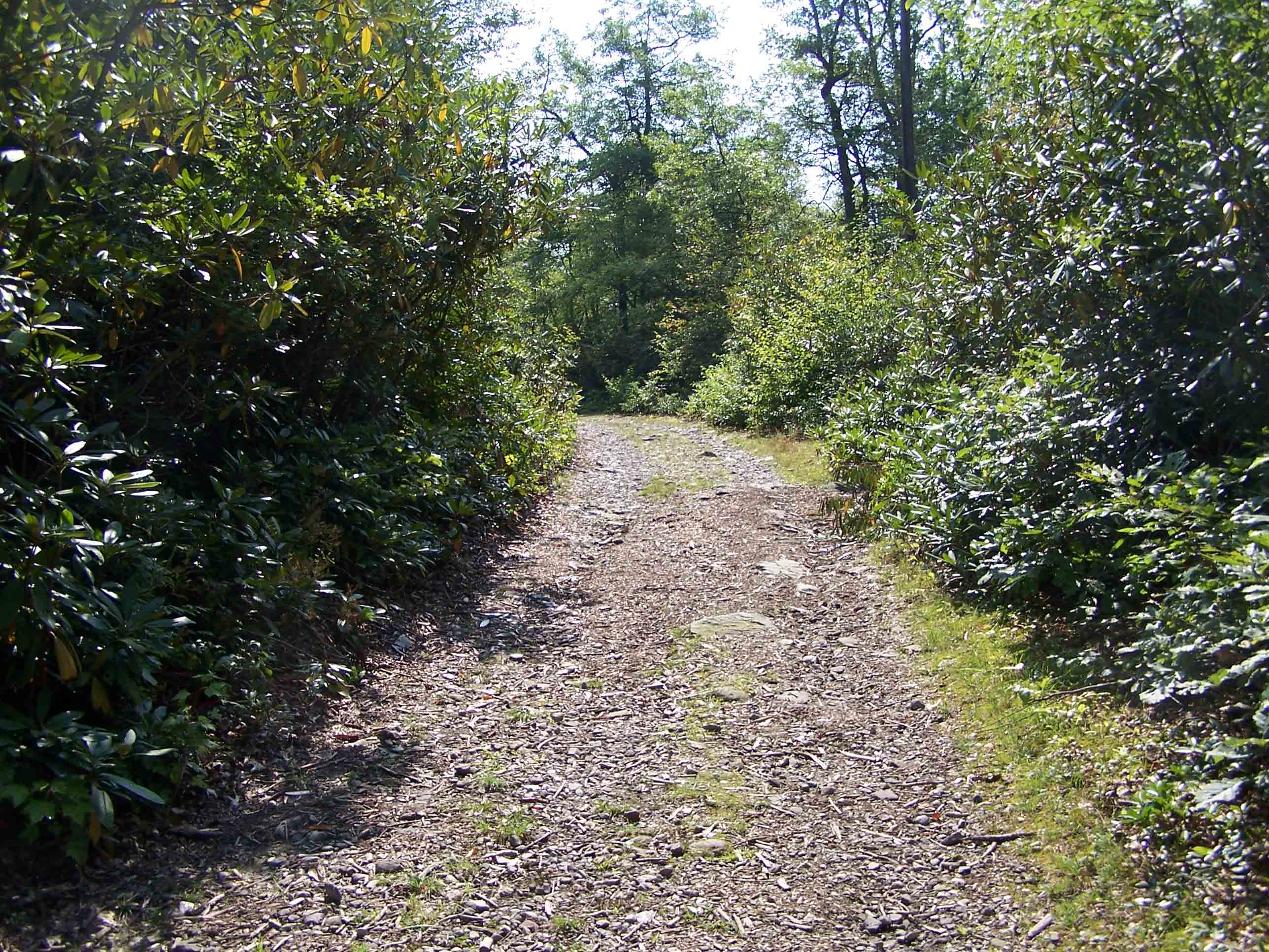 Gravel road which leads to fire tower. Courtesy at@rohland.org