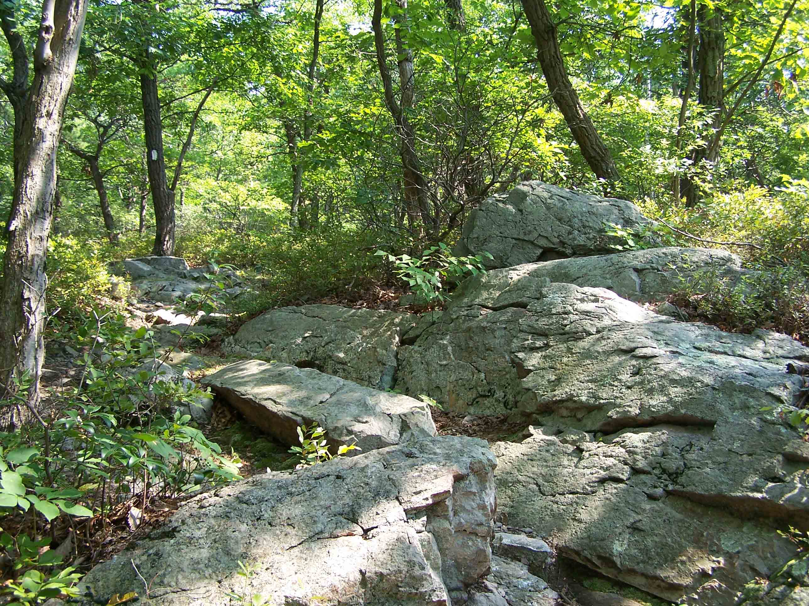 Large rocks along trail. Courtesy at@rohland.org