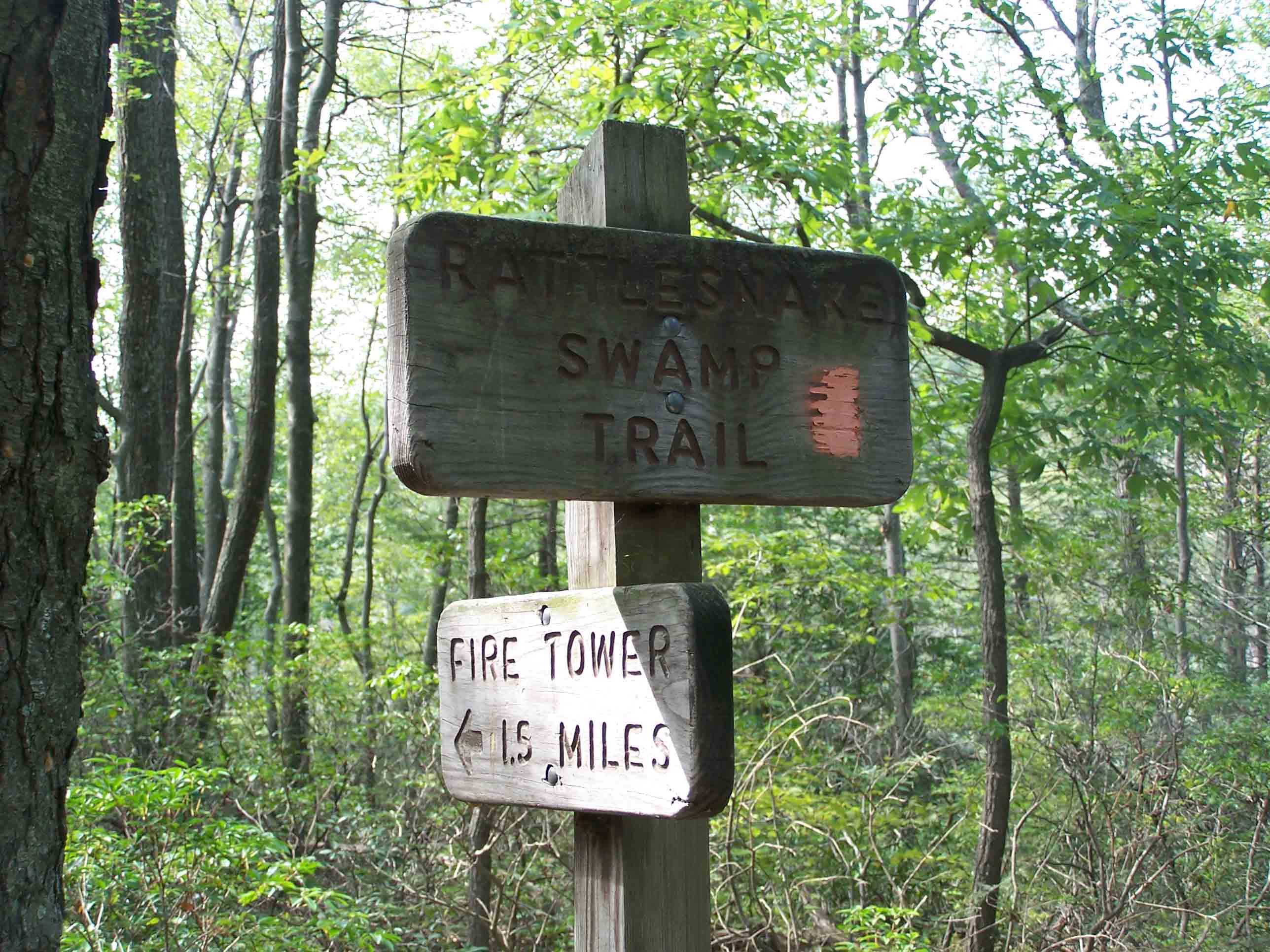 mm 0.3 Northern trailhead of the orange-blazed Rattlesnake Swamp Trail. Courtesy at@rohland.org