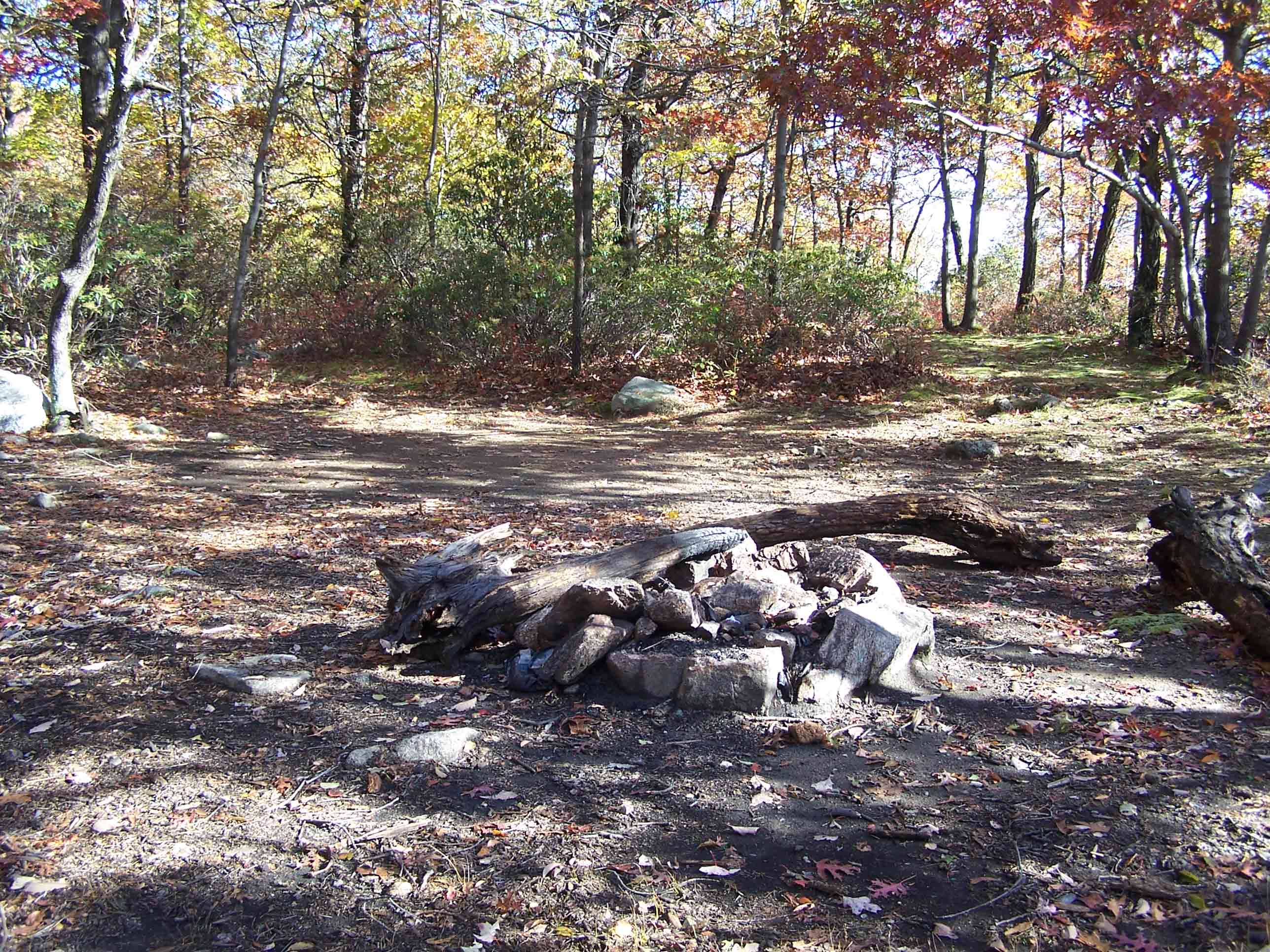 mm 6.8 Campsite on blue blaze trail near West Mountain shelter. Courtesy at@rohland.org