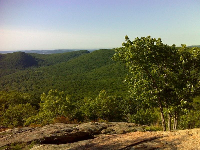 mm 2.8 Viewpoint  on Bear Mountain summit looking to southeast.  The skyline of New York City can be barely discerned on the far horizon,  just to the left of the tree in the picture.   GPS N41.3106 W74.0064  Courtesy pjwetzel@gmail.com