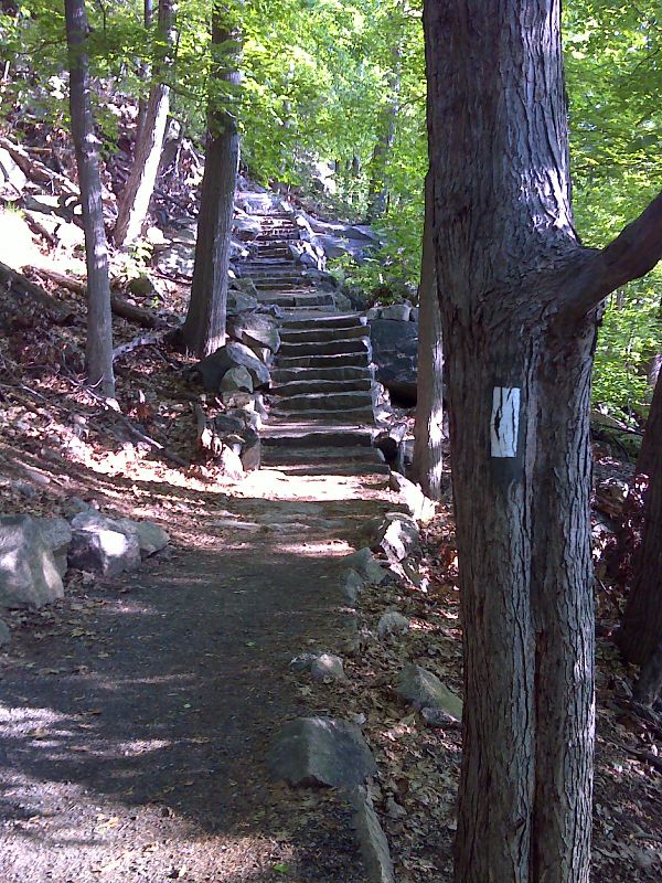 Some of the 800 new half-ton granite steps in the new relocation on the east side of Bear Mountain. GPS N41.3124 W73.9952  Courtesy pjwetzel@gmail.com