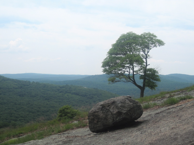 Glacial erratic and view to the southwest from the ledges on the south side of Bear Mountain. Taken at approx. mm 4.0.  Courtesy dlcul@conncoll.edu