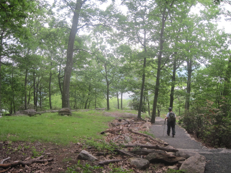 One of the few flat areas on the trail route on the east side of Bear Mountain. Note the excellent trail. Taken at approx. mm 1.3.  Courtesy dlcul@conncoll.edu