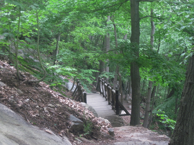 mm 0.1 Trail bridge on the new relocation on the east side of Bear Mountain. Courtesy dlcul@conncoll.edu