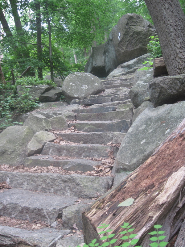 Part of the extensive set of rock stairs on the east side of Bear Mountain.  Taken at approx. mm 1.0.  Courtesy dlcul@conncoll.edu