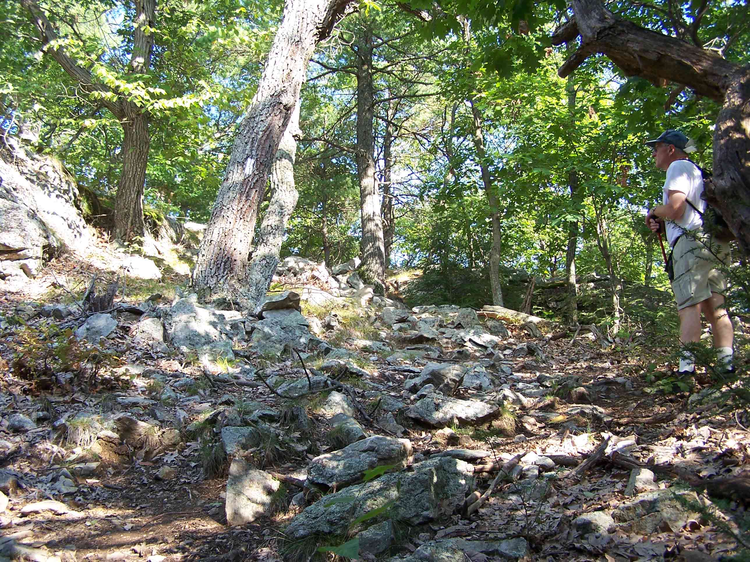 Steep climb through hemlock grove. Courtesy at@rohland.org