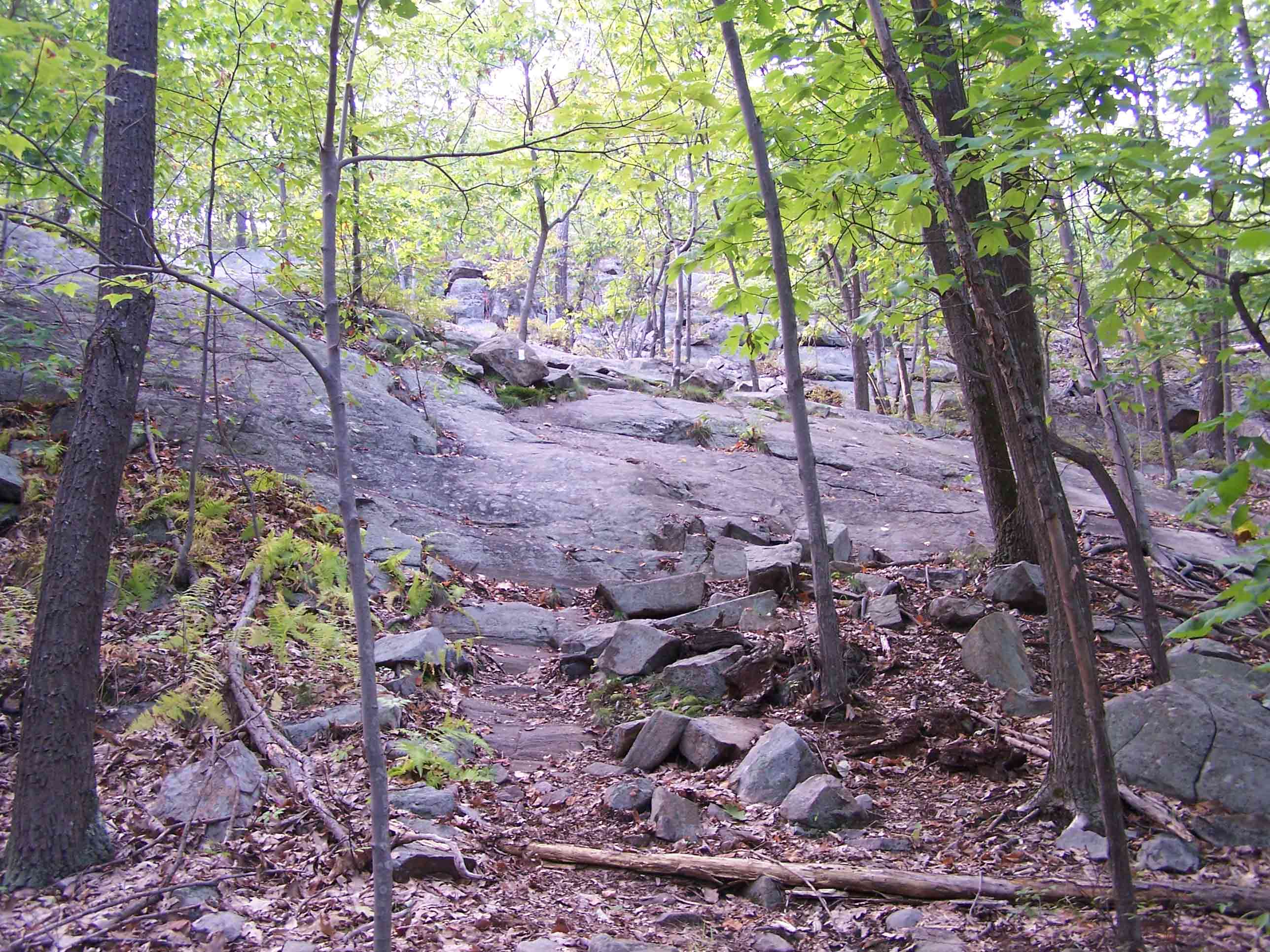 Very rocky trail section. Courtesy at@rohland.org