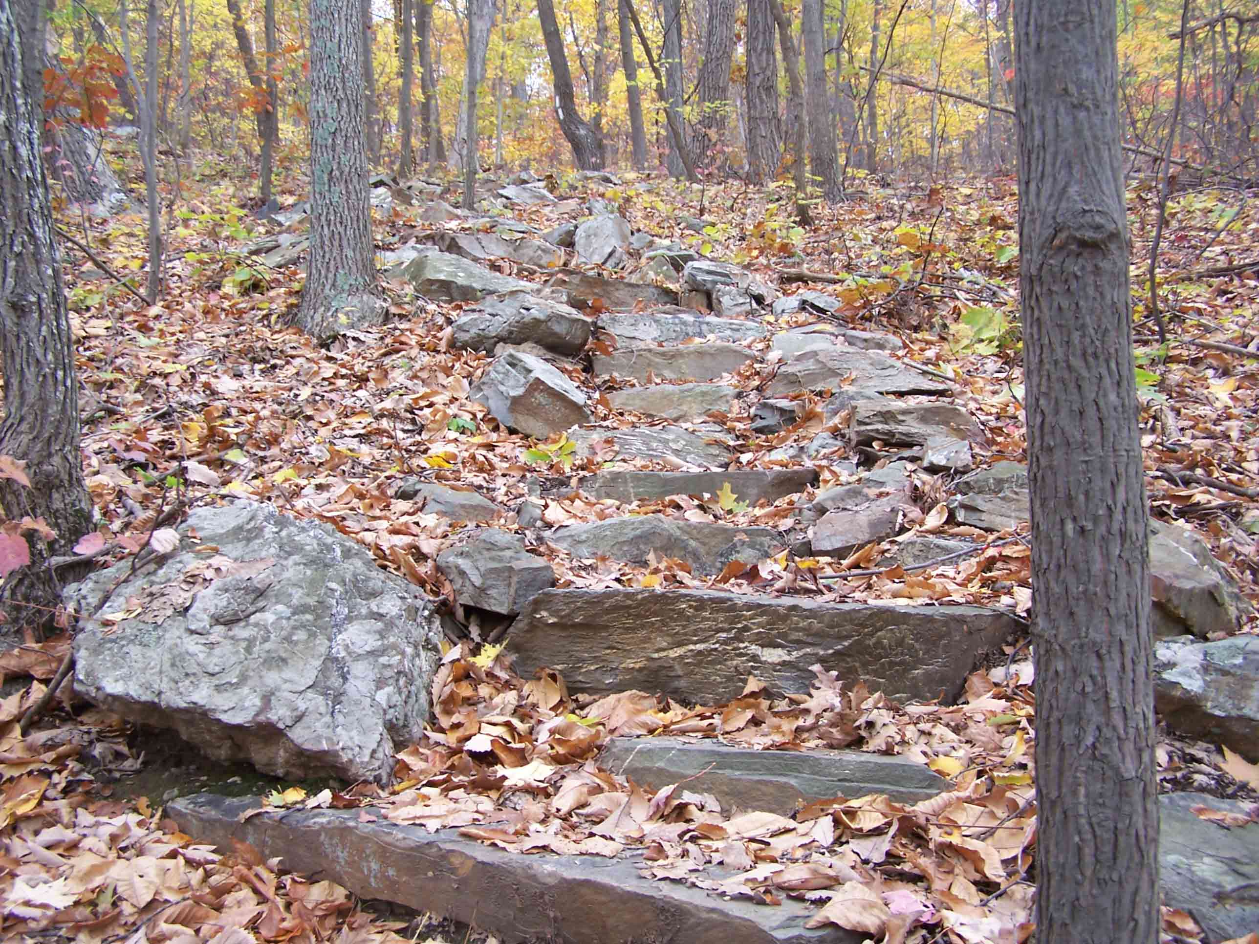 Rock steps on steep section just south of Lakes Road. Courtesy at@rohland.org