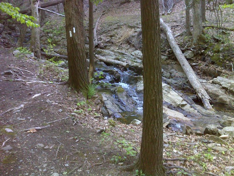 mm 8.0 Trail crossing of Trout Brook above Fitzgerald Falls,  GPS N41.2698 W74.2505.  Courtesy pjwetzel@gmail.com